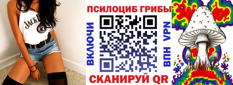 Купить закладки  Волхов  Галлюциногенные грибы Cubensis 