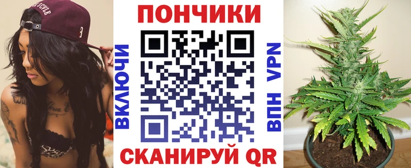 Купить закладки  Волхов  Каннабис Bruce Banner 